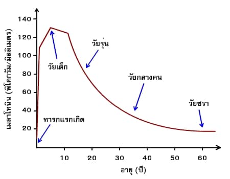 ระดับเมลาโทนินตามอายุ