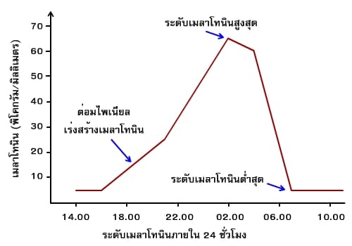 ระดับเมลาโทนินใน 24 ชั่วโมง